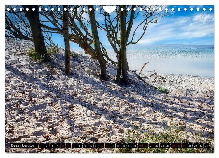 Produktbild: Fischland - Dar&szlig;- Zingst (Wandkalender 2026 DIN A4 quer), CALVENDO Monatskalender
