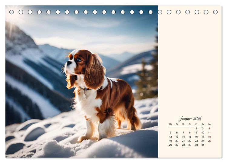 Produktbild: Goldige Kavalier King Charles Spaniels (Tischkalender 2026 DIN A5 quer), CALVENDO Monatskalender