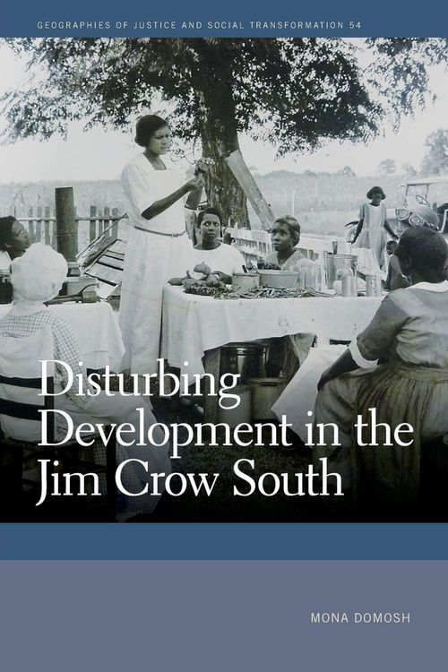 Produktbild: Disturbing Development in the Jim Crow South