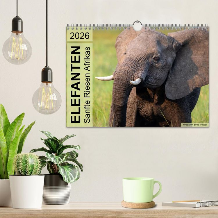 Produktbild: Elefanten - Sanfte Riesen Afrikas (Wandkalender 2026 DIN A4 quer), CALVENDO Monatskalender