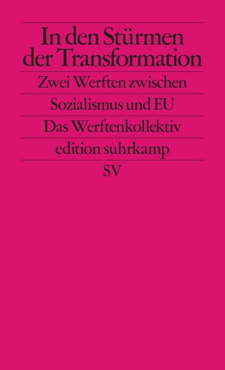 Bild vom Artikel In den Stürmen der Transformation vom Autor Philipp Ther