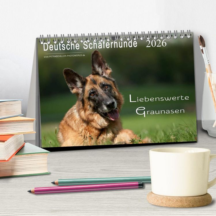 Produktbild: Deutsche Sch&auml;ferhunde - Liebenswerte Graunasen (Tischkalender 2026 DIN A5 quer), CALVENDO Monatskalender