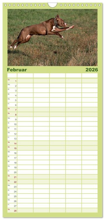 Produktbild: Familienplaner 2026 - Hunde Action mit 5 Spalten (Wandkalender, 21 x 45 cm) CALVENDO