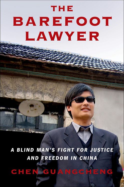 Produktbild: The Barefoot Lawyer