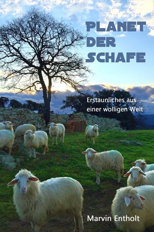 Produktbild: Planet der Schafe