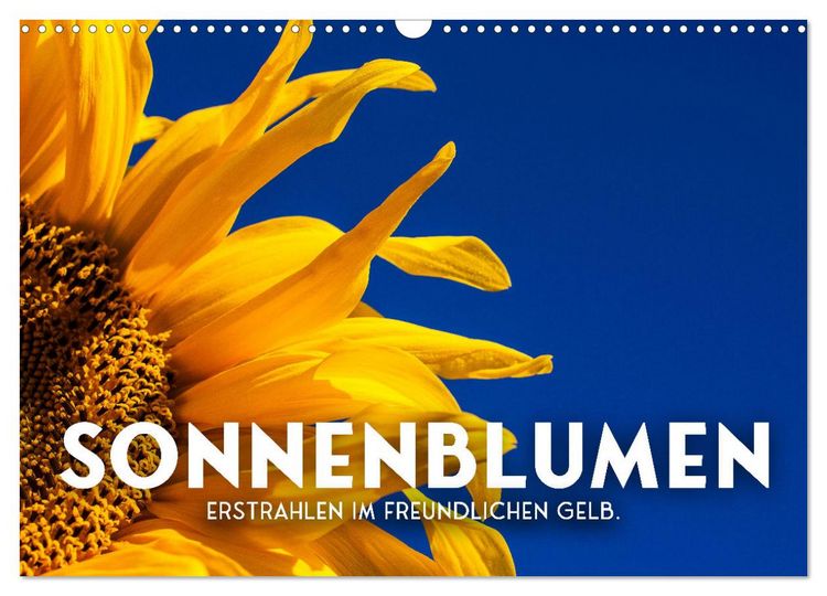 Produktbild: Sonnenblumen - Erstrahlen im freundlichen Gelb. (Wandkalender 2026 DIN A3 quer), CALVENDO Monatskalender