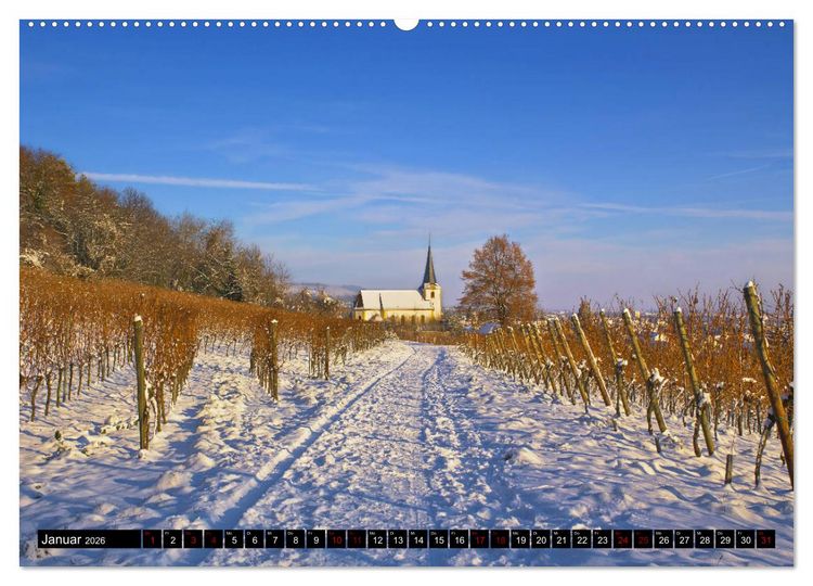 Produktbild: Augenschmaus Pfalz (hochwertiger Premium Wandkalender 2026 DIN A2 quer), Kunstdruck in Hochglanz
