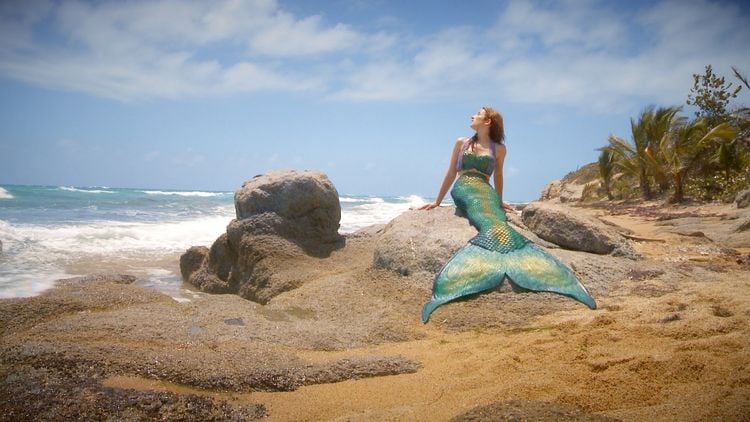 Produktbild: Mermaids - Meerjungfrauen in Gefahr