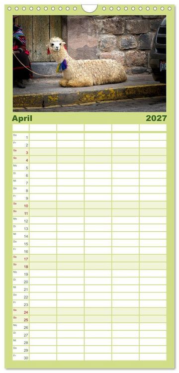 Produktbild: Familienplaner 2027 - Unter Lamas und Alpakas mit 5 Spalten (Wandkalender, 21 x 45 cm) CALVENDO