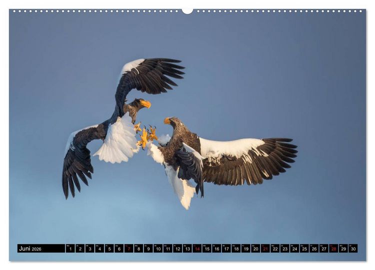 Produktbild: Japanische Vogelwelt im Winter (hochwertiger Premium Wandkalender 2026 DIN A2 quer), Kunstdruck in Hochglanz