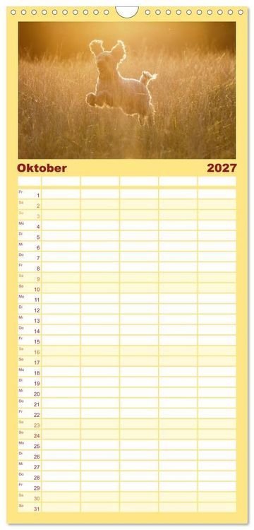 Produktbild: Familienplaner 2027 - Lockenw&ouml;lfe - Energieb&uuml;ndel Pudel mit 5 Spalten (Wandkalender, 21 x 45 cm) CALVENDO