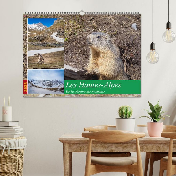 Produktbild: Les Hautes-Alpes sur les chemins des marmottes (Calendrier mural 2026 DIN A2 vertical), CALVENDO calendrier mensuel