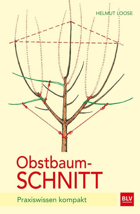 Produktbild: Obstbaumschnitt