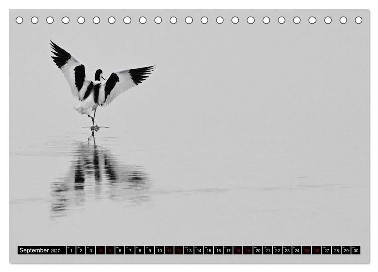 Produktbild: Mallorcas V&ouml;gel (Tischkalender 2027 DIN A5 quer), CALVENDO Monatskalender