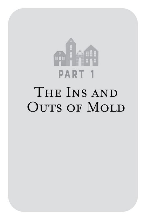 Produktbild: The Toxic Mold Solution