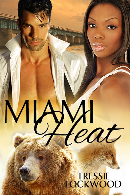 Produktbild: Miami Heat (Urban Heat, #3)