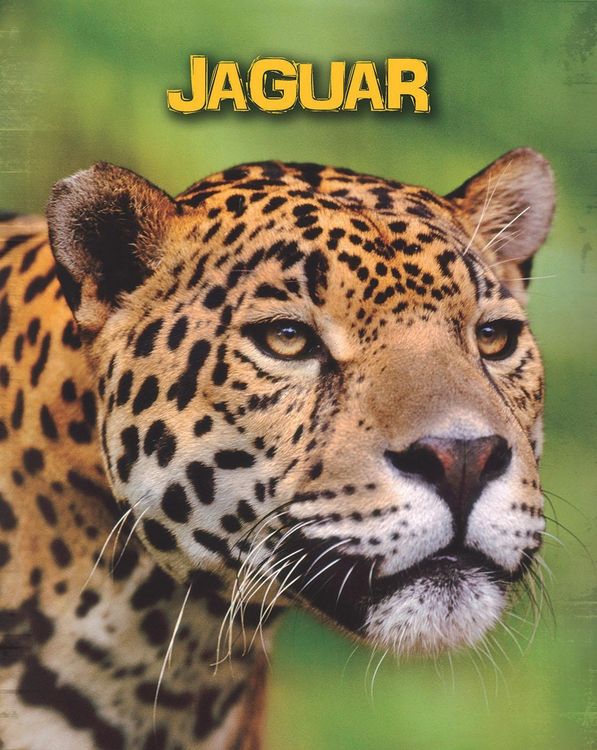 Produktbild: Jaguars