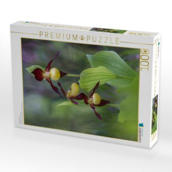 Produktbild: Frauenschuh (Puzzle)