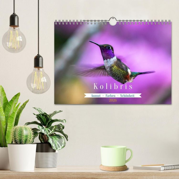 Produktbild: Kolibris; Anmut, Sch&ouml;nheit, Farben (Wandkalender 2026 DIN A4 quer), CALVENDO Monatskalender