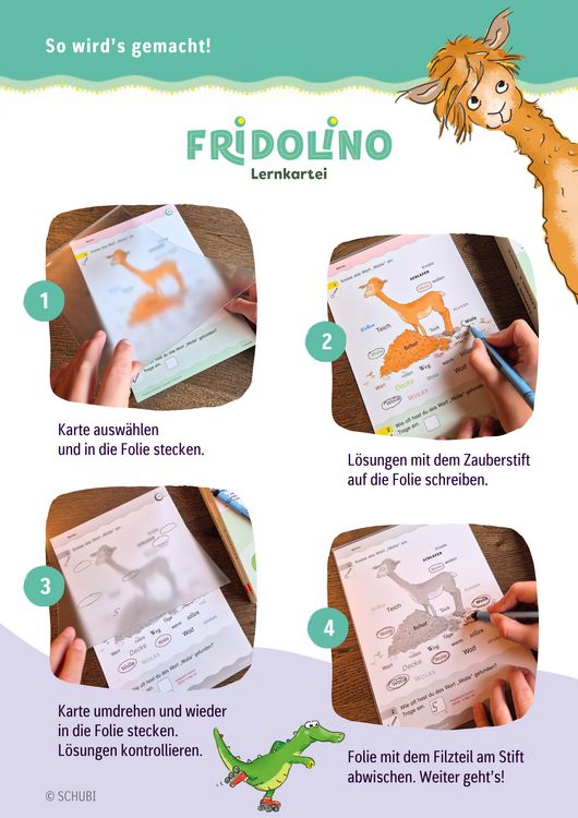 Produktbild: Fridolino Lernkartei