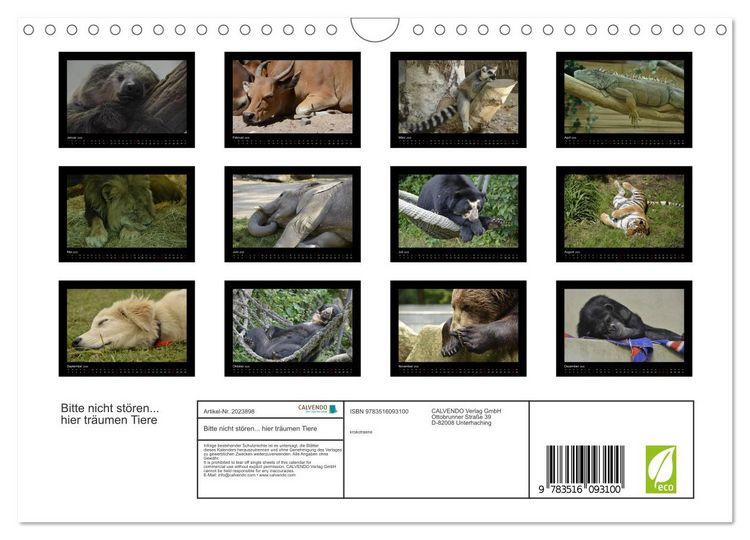 Produktbild: Bitte nicht st&ouml;ren... hier tr&auml;umen Tiere (Wandkalender 2026 DIN A4 quer), CALVENDO Monatskalender