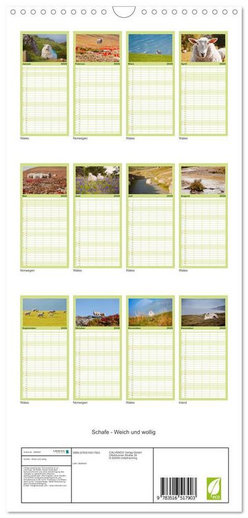 Produktbild: Familienplaner 2026 - Schafe - Weich und wollig mit 5 Spalten (Wandkalender, 21 x 45 cm) CALVENDO