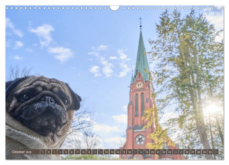 Produktbild: Reinbek mopsfidel (Wandkalender 2026 DIN A3 quer), CALVENDO Monatskalender