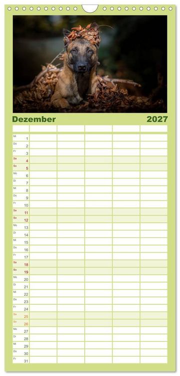 Produktbild: Familienplaner 2027 - Belgischer Sch&auml;ferhund - Der Malinois mit 5 Spalten (Wandkalender, 21 x 45 cm) CALVENDO