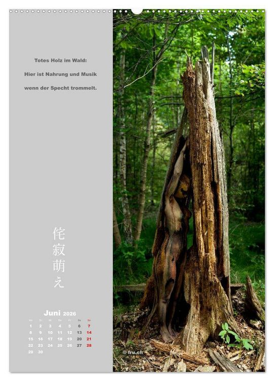 Produktbild: wabi sabi moe &mdash; bewundernswert verg&auml;nglich erotisch &mdash; Akt/Bodypainting (Wandkalender 2026 DIN A2 hoch), CALVENDO Monatskalender