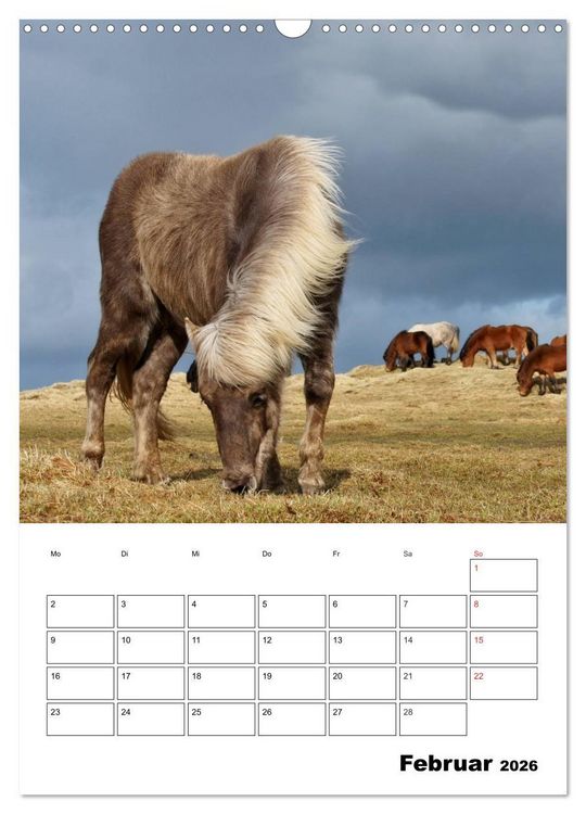 Produktbild: ISLANDPFERDE an der K&uuml;ste von Sn&aelig;fellsnes (Wandkalender 2026 DIN A3 hoch), CALVENDO Monatskalender