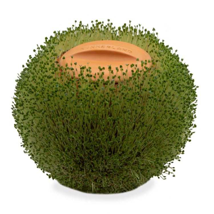 Produktbild: Terracotta Round Planter