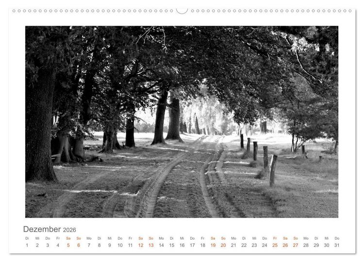 Produktbild: Quo Vadis? W&auml;lder und Wege in der R&ouml;hn, L&uuml;neburger Heide und der Mecklenburgischen Seenplatte (Wandkalender 2026 DIN A2 quer), CALVENDO Monatskalender