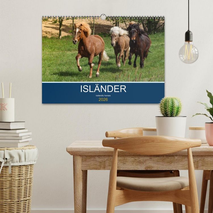 Produktbild: Isl&auml;nder - icelandic horses (Wandkalender 2026 DIN A3 quer), CALVENDO Monatskalender
