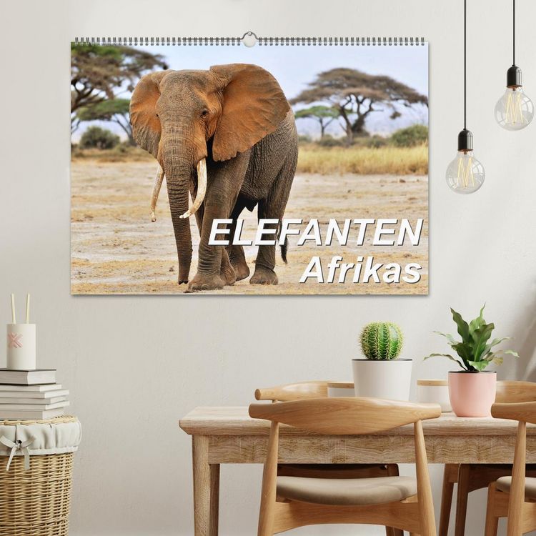 Produktbild: Elefanten Afrikas (Wandkalender 2026 DIN A2 quer), CALVENDO Monatskalender