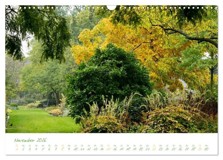 Produktbild: Kreislehrgarten in Steinfurt (Wandkalender 2026 DIN A3 quer), CALVENDO Monatskalender