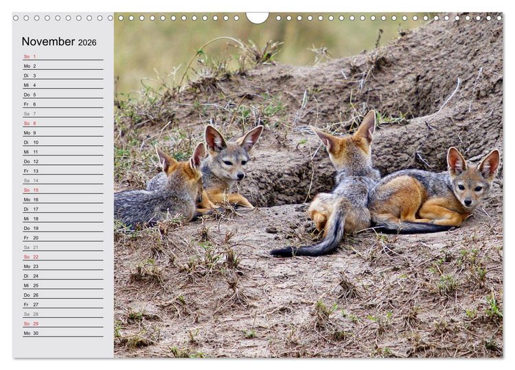 Produktbild: Afrikas wildes Kinderzimmer (Wandkalender 2026 DIN A3 quer), CALVENDO Monatskalender