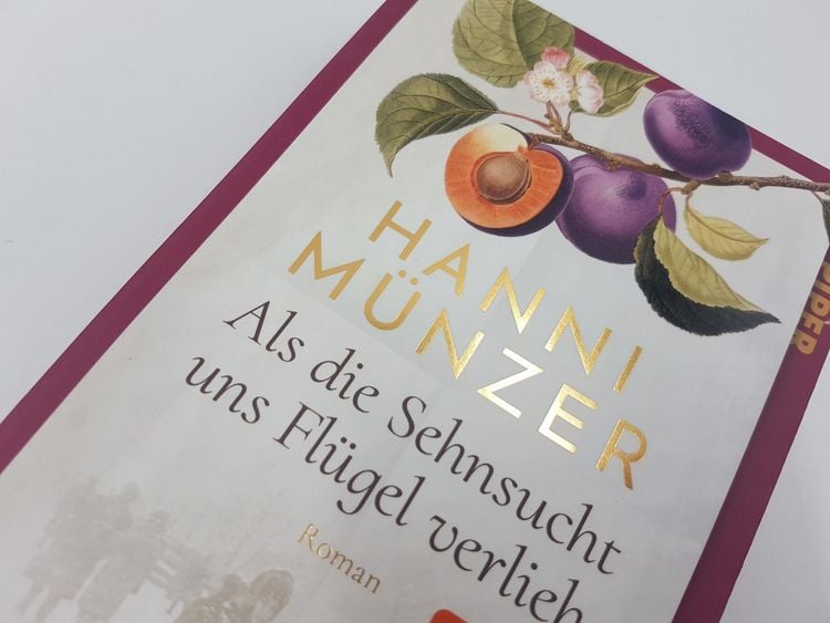 Produktbild: Als die Sehnsucht uns Fl&uuml;gel verlieh