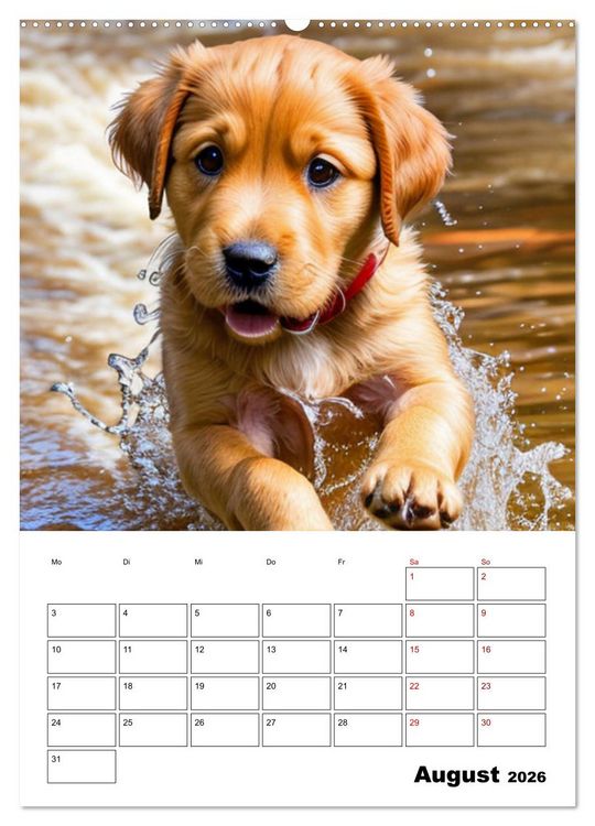 Produktbild: Mit Tieren hinein in das neue Jahr (hochwertiger Premium Wandkalender 2026 DIN A2 hoch), Kunstdruck in Hochglanz