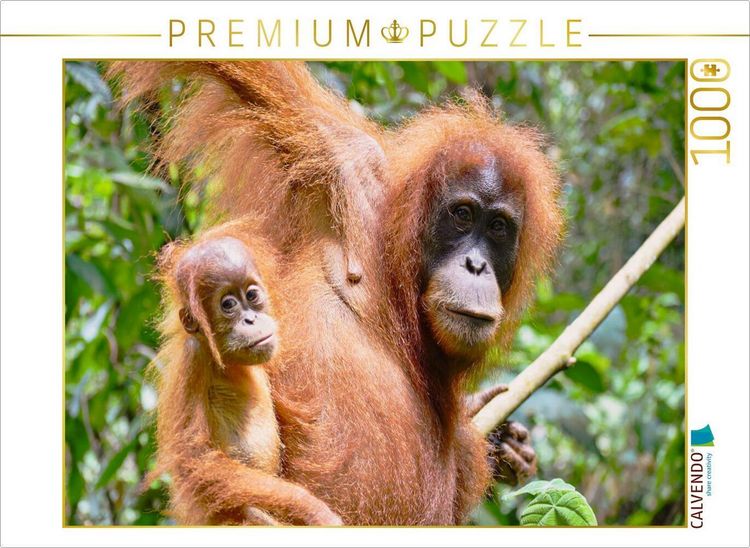 Produktbild: CALVENDO Puzzle Orang Utan Mama mit Baby | 1000 Teile Lege-Gr&ouml;&szlig;e 64x48cm Foto-Puzzle f&uuml;r gl&uuml;ckliche Stunden