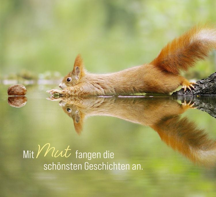 Produktbild: Kleine Gl&uuml;cksbringer f&uuml;r dich