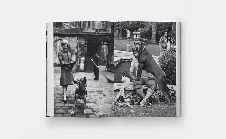 Produktbild: Hunde lieben