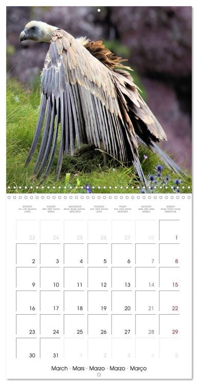Produktbild: Deux &eacute;t&eacute;s en Vall&eacute;e d'Ossau (Calendrier mural carr&eacute; 2026 30x30 cm) Calendrier double avec une page pour vos prises de notes