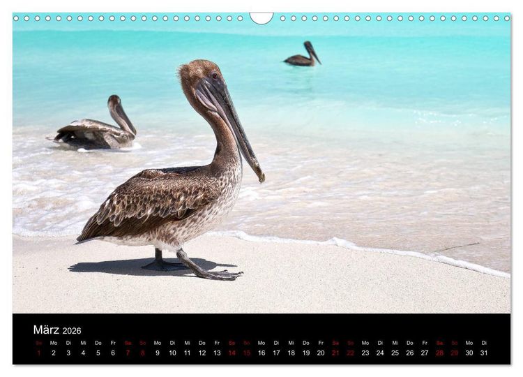 Produktbild: Kuba Varadero 2026 Leben im Paradies (Wandkalender 2026 DIN A3 quer), CALVENDO Monatskalender