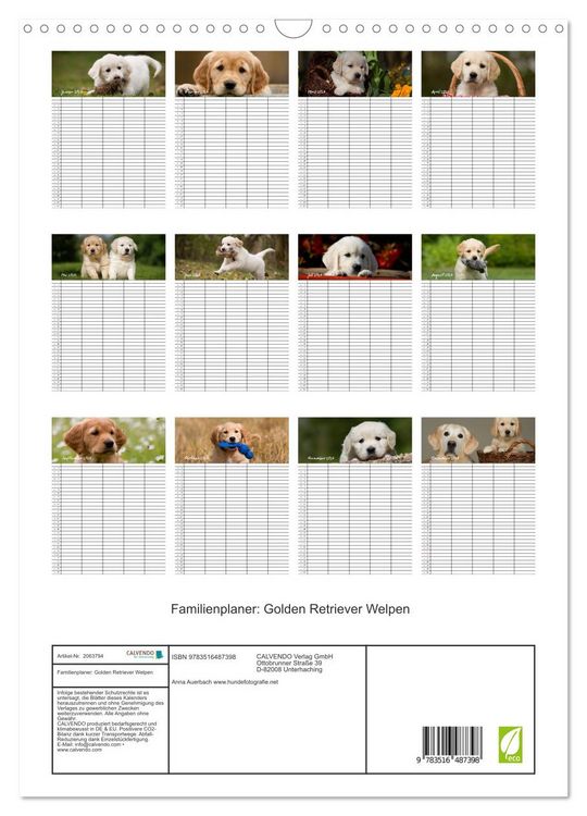 Produktbild: Familienplaner: Golden Retriever Welpen (Wandkalender 2026 DIN A3 hoch), CALVENDO Monatskalender