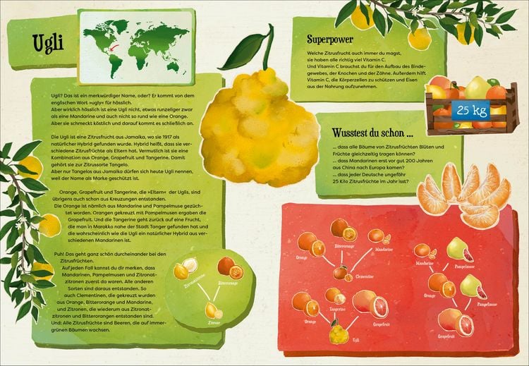 Produktbild: Wei&szlig;t du, wo der Pfeffer w&auml;chst? &ndash; Erstaunliches Wissen von Ananas bis Zimt