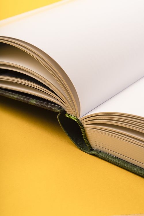 Produktbild: Otto Mueller. Catalogue Raisonn&eacute;