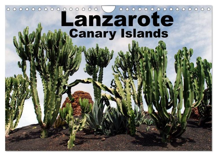 Produktbild: Lanzarote - Canary Islands (Wall Calendar 2026 DIN A4 landscape), CALVENDO 12 Month Wall Calendar