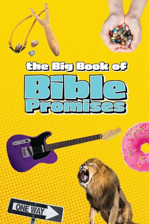 Produktbild: The Big Book of Bible Promises