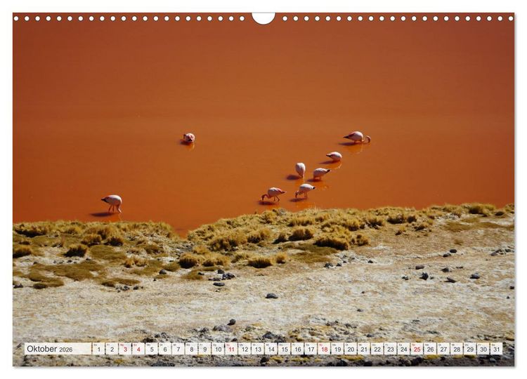 Produktbild: Bolivien - Unterwegs im Hochland (Wandkalender 2026 DIN A3 quer), CALVENDO Monatskalender