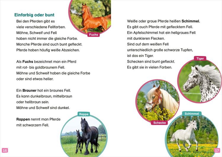 Produktbild: WAS IST WAS Erstes Lesen. Pferde und Ponys